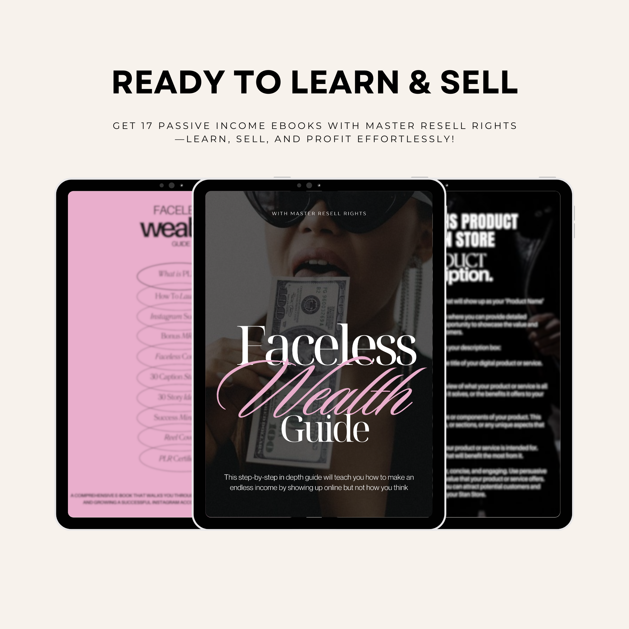 Comprehensive 17 Passive Income Ebook Bundle with MRR, perfect for entrepreneurs and digital creators.