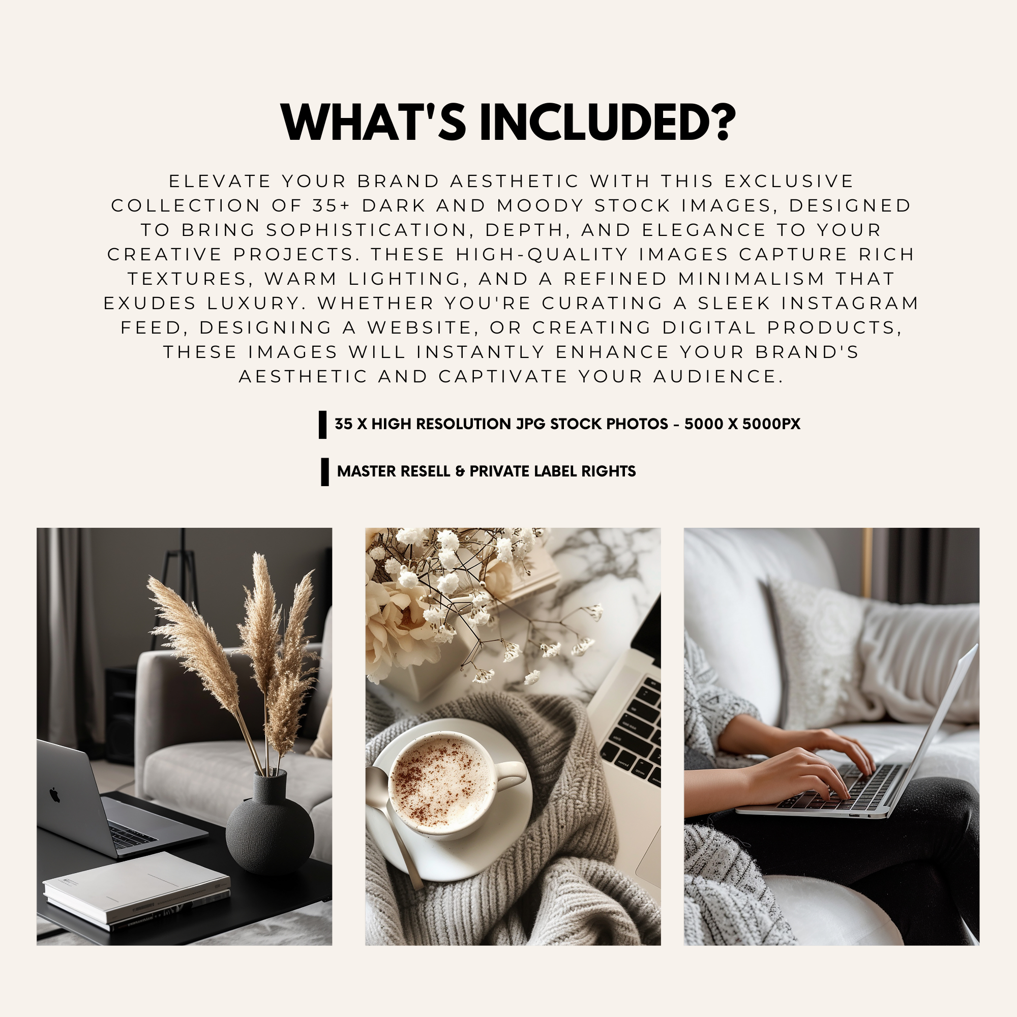 35 Dark & Moody Stock Photos - Elevate Her Studio