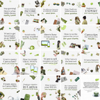 200 Matcha Green Instagram Template Bundle - Elevate Her Studio