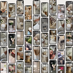 1000 Faceless Lifestyle Videos & Stock Photos - Elevate Her Agency