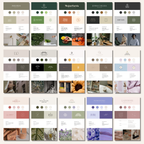 Brand Identity Design Templates