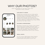 88 Tropical Summer Stock Photos - Elevate Her Agency