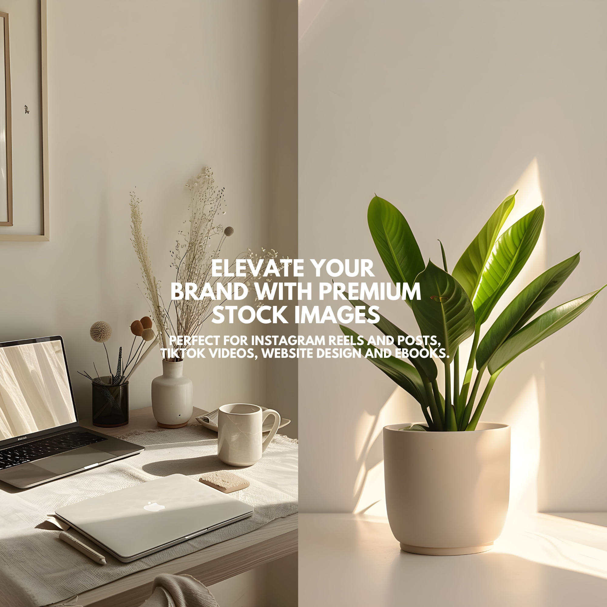 Premium stock images to elevate your brand with neutral home office aesthetics. Ideal for Instagram, TikTok, website design, and ebooks.