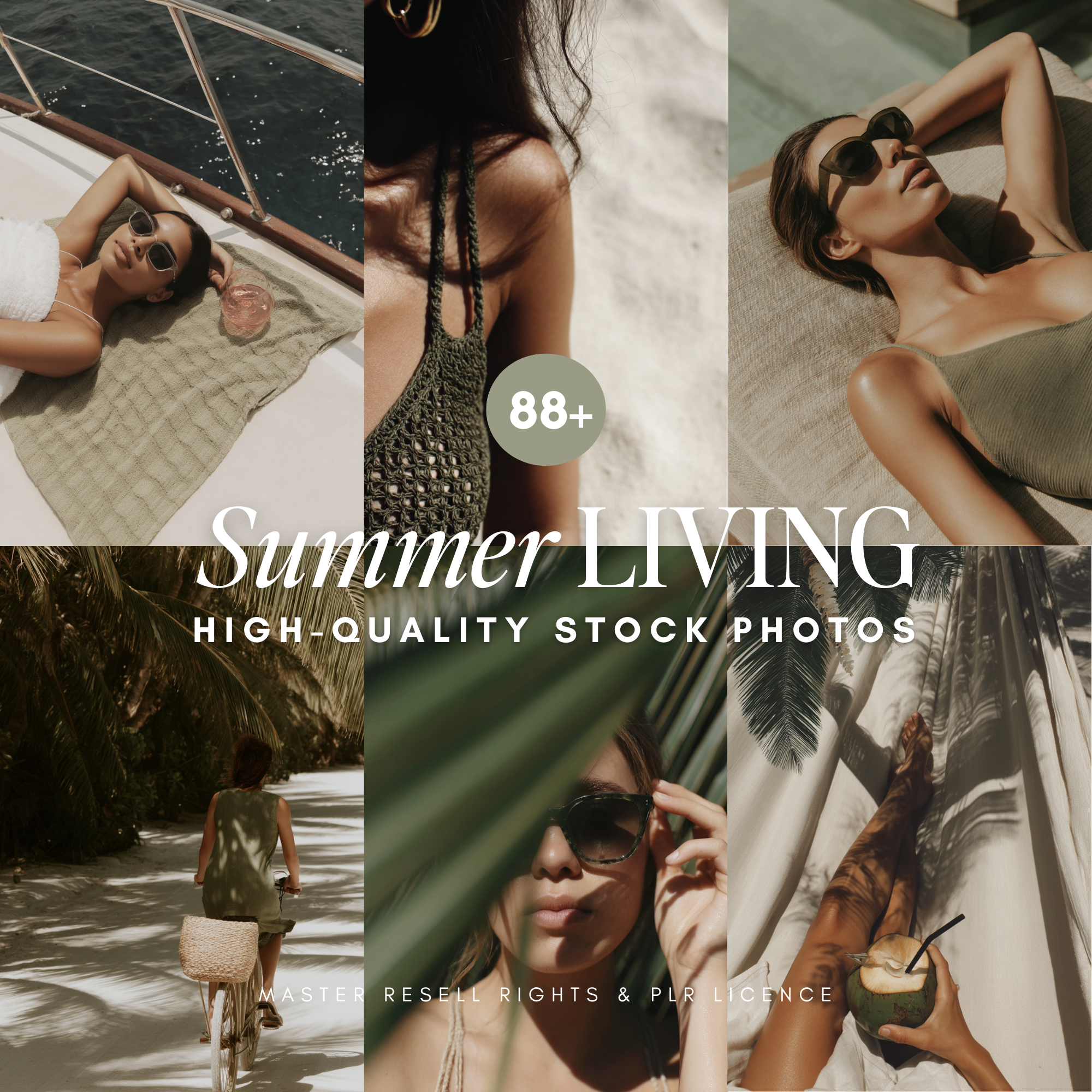 88 Tropical Summer Stock Photos - Elevate Her Studio